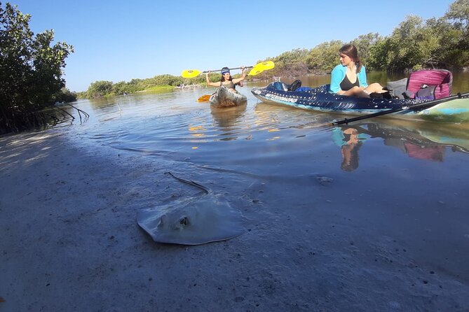 Kayak Experience in the Mangroves of Holbox Island - Why a kayak suits Holbox’s mangroves