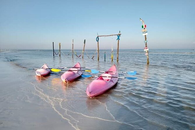 Kayak Experience in the Mangroves of Holbox Island - What you might see from the kayak