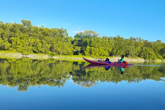 Kayak Experience in the Mangroves of Holbox Island - Morning, sunrise, or afternoon?