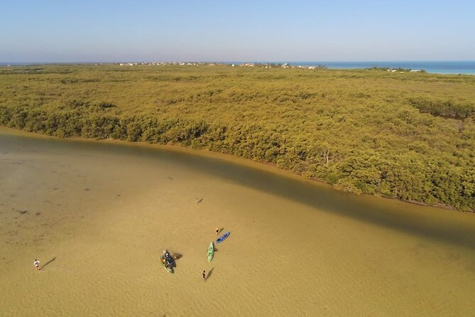 Kayak Experience in the Mangroves of Holbox Island - Starting at Punta Mosquito