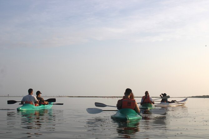 Kayak Mangroves Sunrise Experience - Sunrise gives the mangroves their best moment
