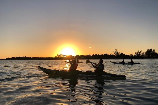 Kayak Mangroves Sunrise Experience - Wildlife in Yum Balam Reserve