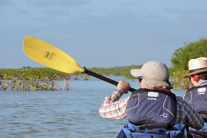 Kayak Sian Ka’an Biosphere Reserve Sunset Tour - What to bring for a comfortable paddle