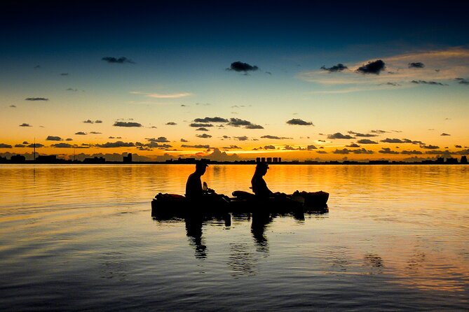 Kayak Tour at Sunset in Cancun - Narrow Mangrove Channels and a Quieter Cancun