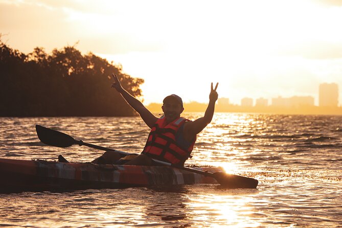 Kayak Tour at Sunset in Cancun - Sunset, Wildlife, and the Right Expectations