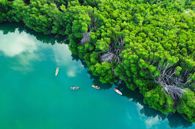 Kayak Tour at Sunset in Cancun - Is $50.12 a Fair Price?