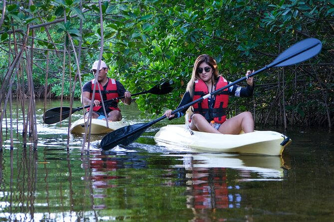 Kayaking Tour in Cancun - Sunrise or sunset: choosing the better departure