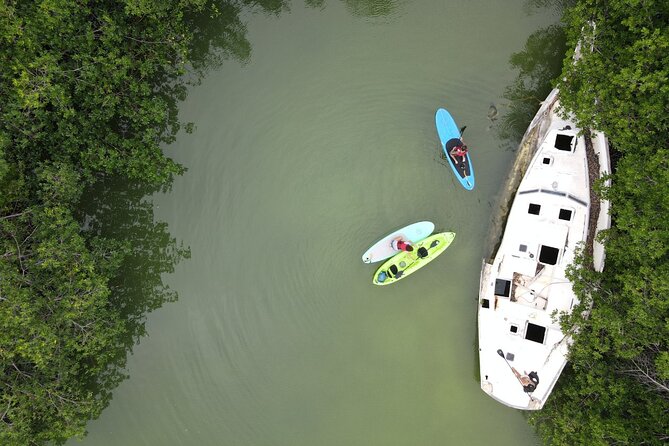 Kayaking Tour in Cancun - Equipment, paddle boards, and physical demands