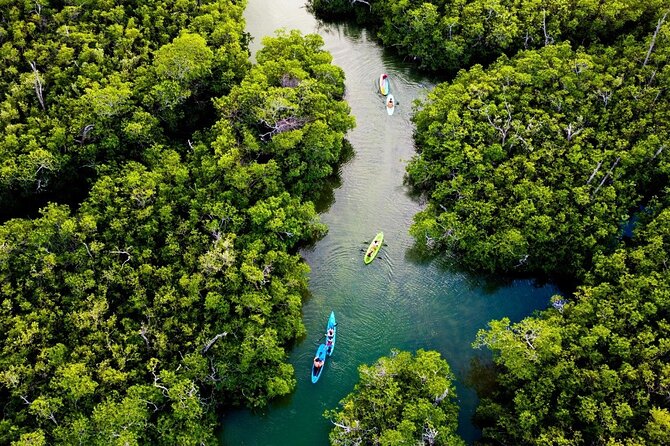Kayaking Tour in Cancun - Value when the price is not listed