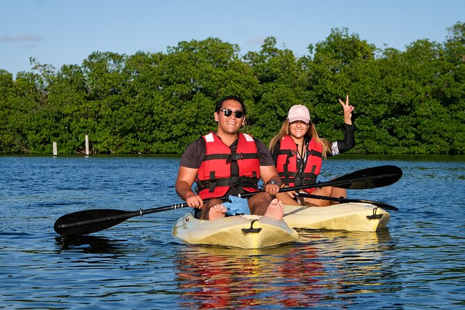 Kayaking Tour in Cancun - Paddling through Nichupté Lagoon’s mangrove channels