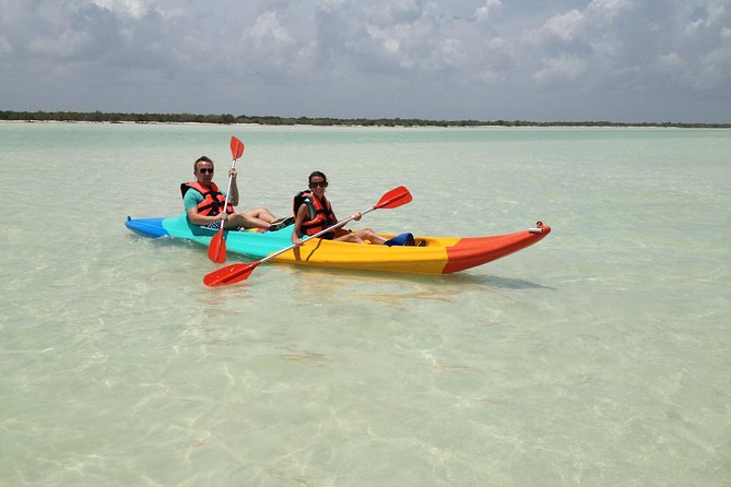 Kayaking Tour Through the Mangroves in Isla Holbox - Quiet water and wild edges near Holbox