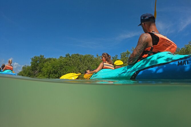 Kayaking Tour Through the Mangroves in Isla Holbox - When to go and what to wear