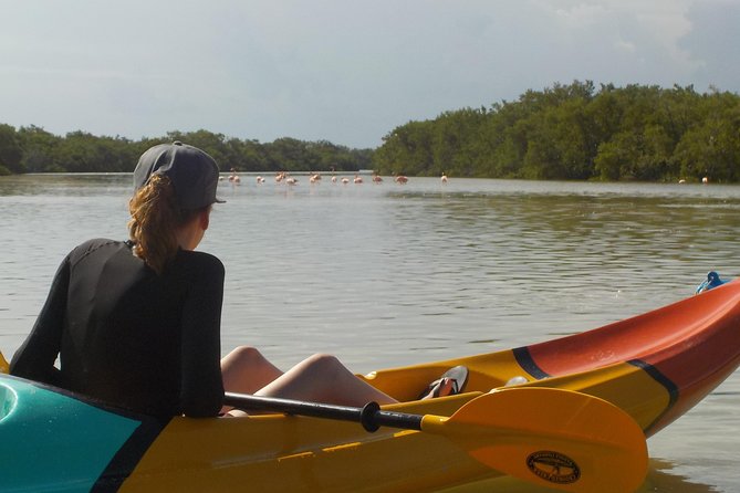 Kayaking Tour Through the Mangroves in Isla Holbox - Who will enjoy this Holbox kayaking tour?