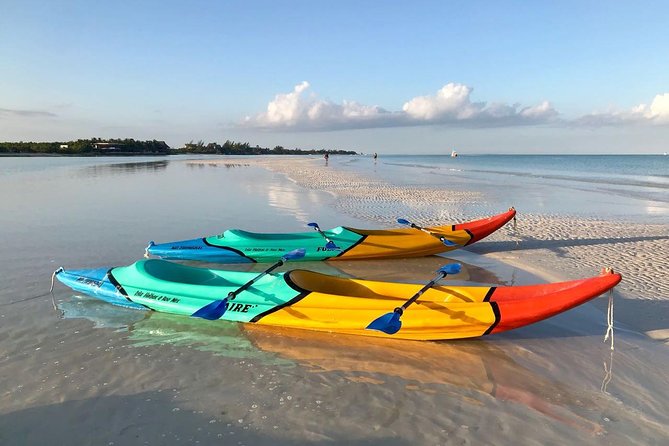 Kayaking Tour Through the Mangroves in Isla Holbox - The first 45 minutes: entering the mangroves