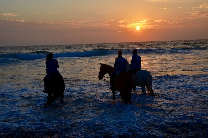 La Bufadora, Markets & Horseback Beach Ride Shore Excursion - Echo Canyon offers a more controlled alternative