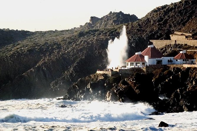 La Bufadora Tour in Baja California - Key points to know before you book