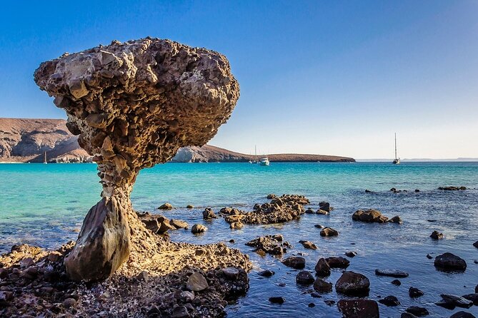 La Paz, Balandra and Todos Santos from CABO and San Jose - La Paz brings lunch, murals, and waterfront time