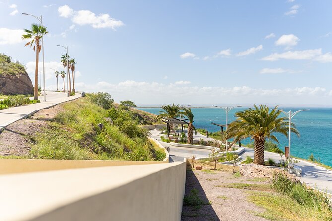 La Paz Beaches Half Day Tour - Why the ceviche and beach setup add real value