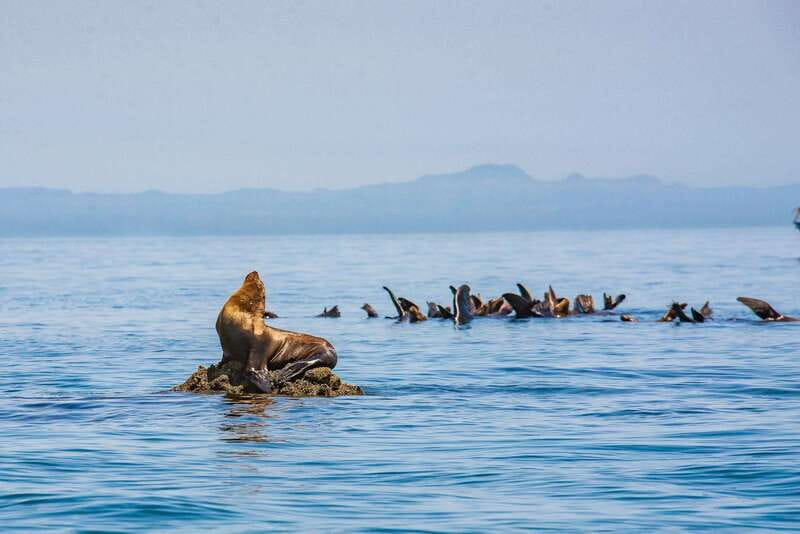 La Paz: Espiritu Santo Island Tour - Why Espíritu Santo makes a strong day trip from La Paz