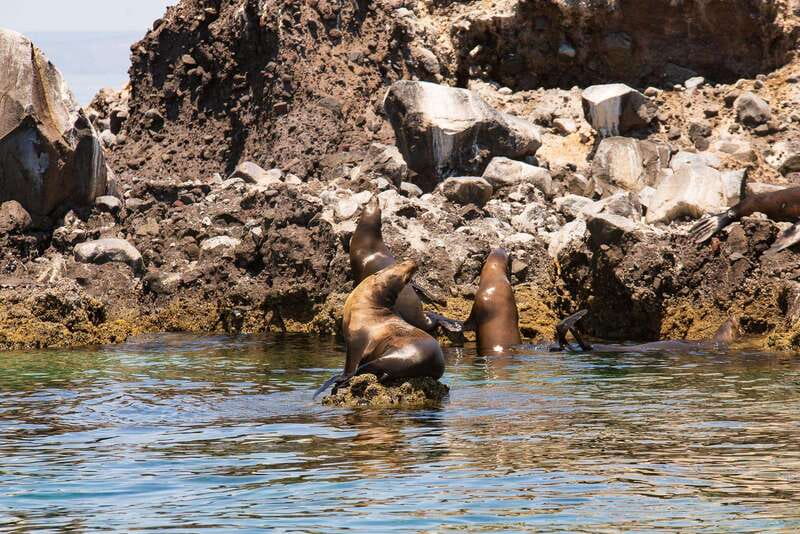 La Paz: Espiritu Santo Island Tour - Espíritu Santo offers scenery between the swims