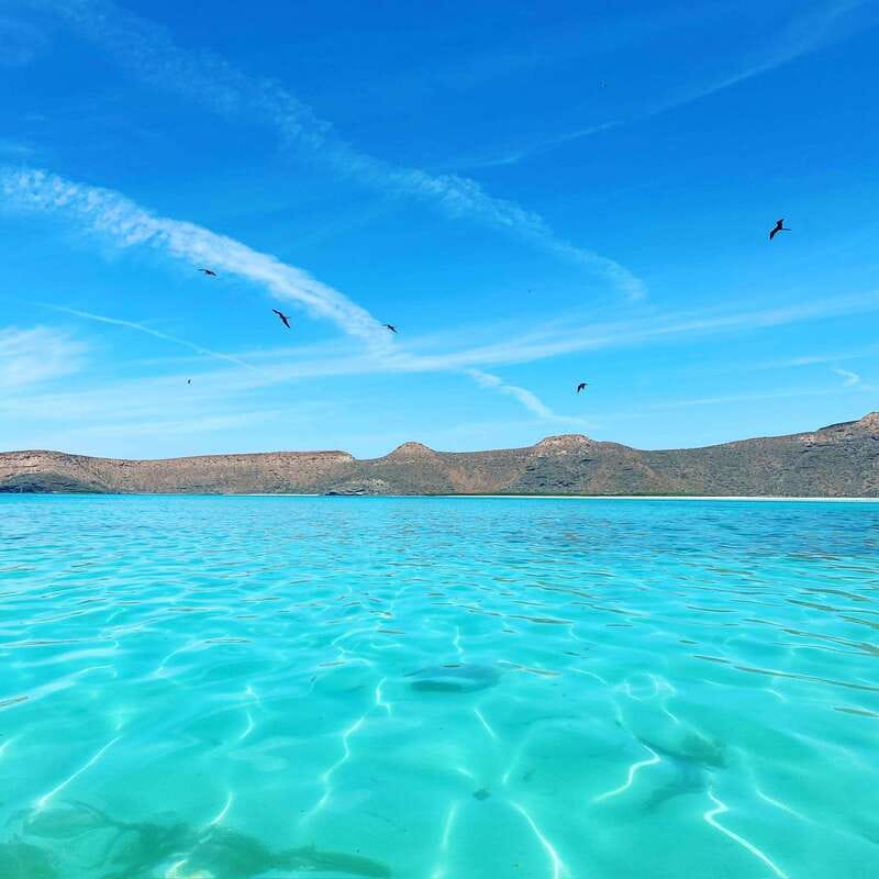 La Paz: Espiritu Santo Island Tour - San Rafaelito and the 20-minute sea lion encounter