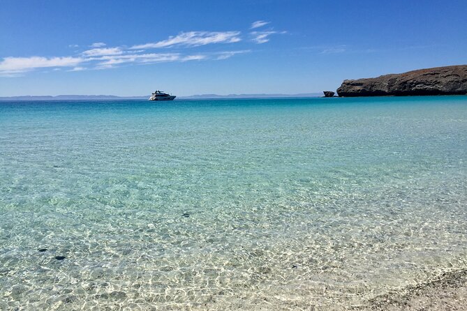 La Paz Whale Shark & Sea Lion Snorkeling + Balandra Tour - What is included in the $250.92 price