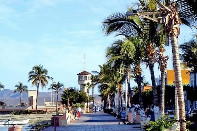 La Paz Whale Shark Snorkeling Tour and Lunch From Los Cabos - Fish tacos after the water