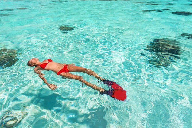 La Paz World Class Snorkeling in Balandras Hidden Beaches - From Cabo hotels to Pichilingue port