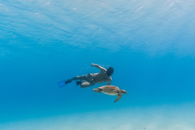 La Paz World Class Snorkeling in Balandras Hidden Beaches - Breakfast, Mexican lunch, and the value of $219