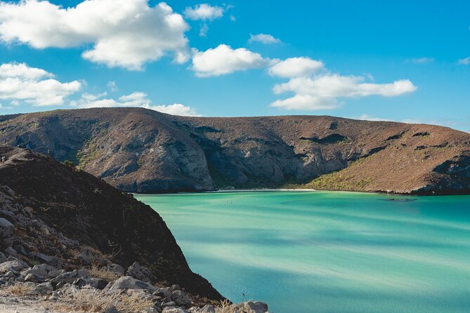 La Paz World Class Snorkeling in Balandras Hidden Beaches - Who should book this Balandra tour?