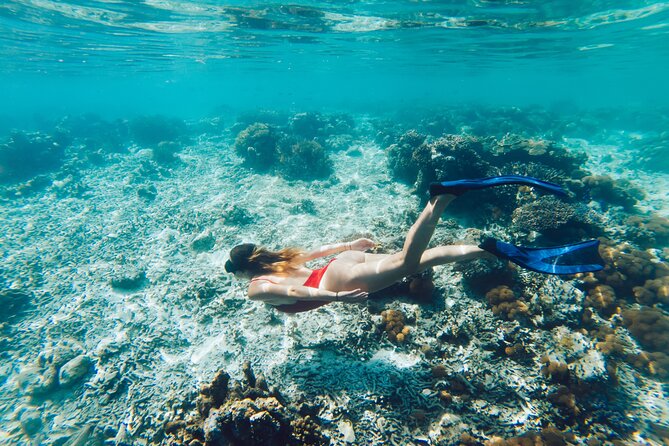 La Paz World Class Snorkeling in Balandras Hidden Beaches - Boarding the catamaran at Playa Pichilingue