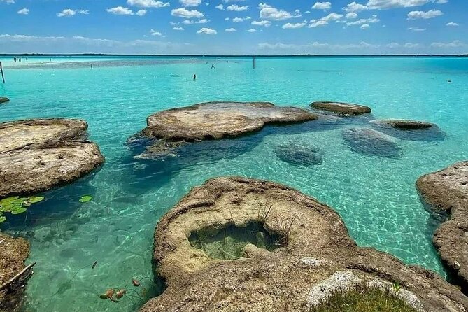 Lagoon of 7 colors from Costa Maya - Boat Tour and transportation - Timing, weather, and cancellation rules