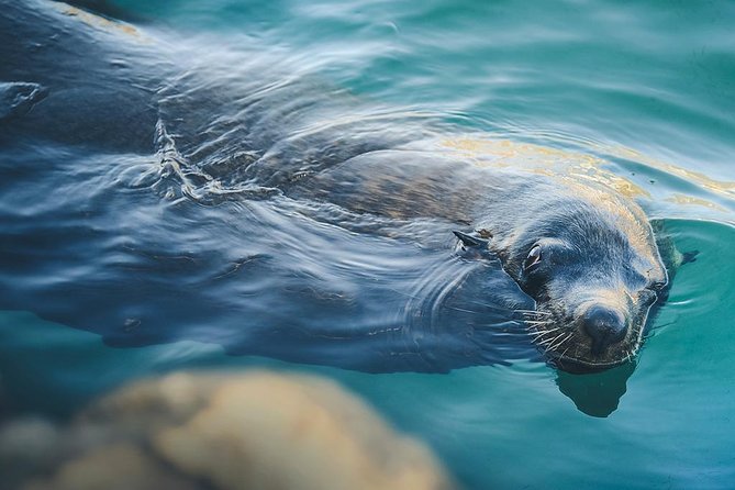 Land’s End Experience – Arch, Beaches & Marine Life - What this Land’s End outing is really like
