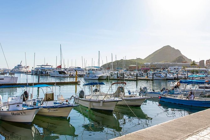 Land’s End Experience – Arch, Beaches & Marine Life - Downtown Cabo San Lucas after the cruise