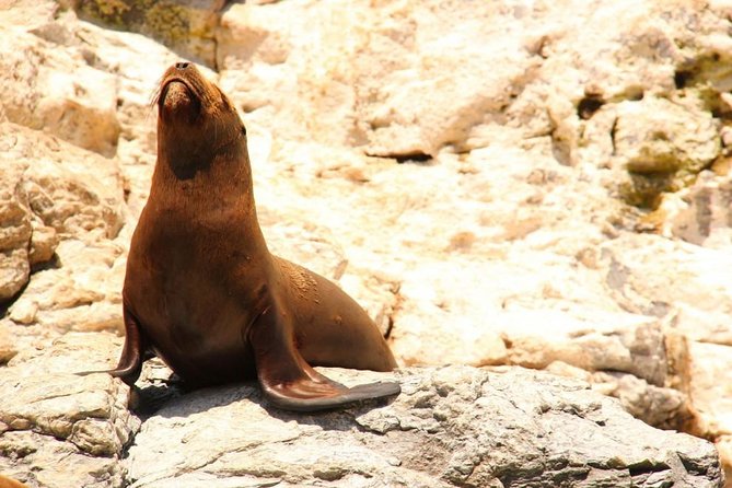 Land's End Sightseeing Boat Tour in Los Cabos - El Arco, the centerpiece of the ride