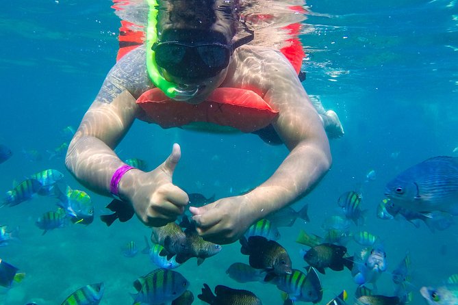 Las Caletas Beach & Adventure Park with buffet lunch and open bar - Who will enjoy this most