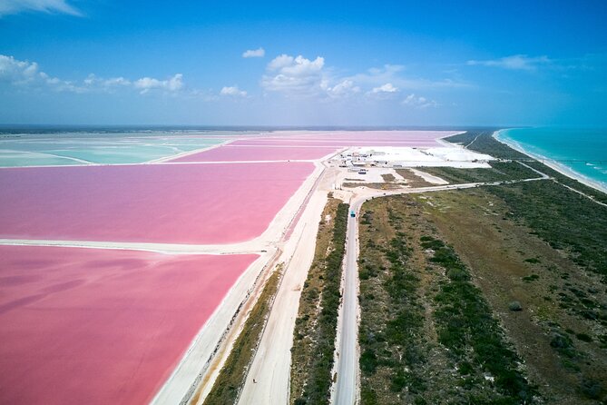 Las Coloradas Pink Lake & Rio Lagartos Guided Tour - The crocodile farm visit