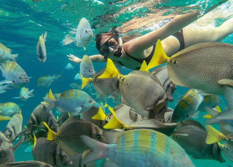 Los Cabos Arch & Lover’s Beach Tour + Snorkeling Tour - Snorkeling at Pelican Rock