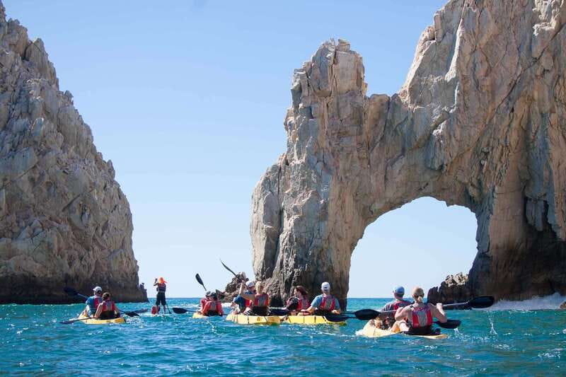 Los Cabos Arch & Playa del Amor Tour by Glass Bottom Kayak - Sea lions, seabirds, and the life below the kayak