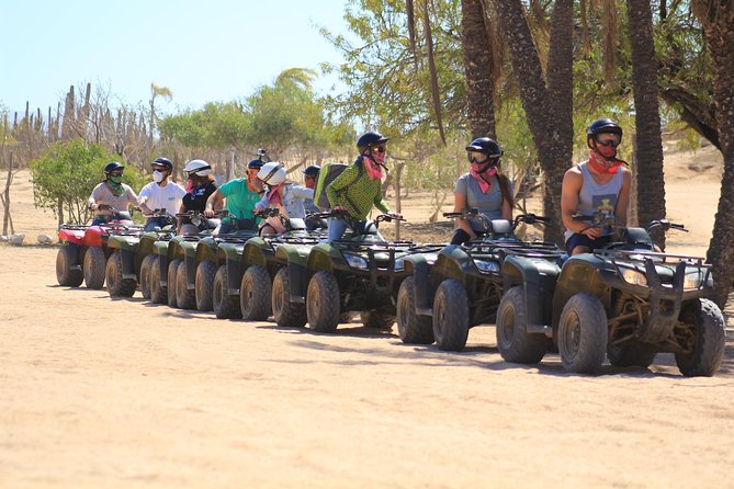 Los Cabos ATV and Pacific Horseback Riding Combo Tour - The ATV section: cactus, canyon trails, and Pacific views
