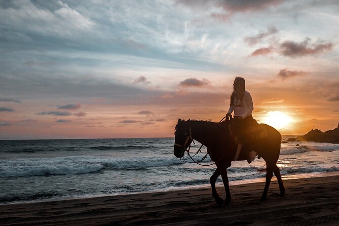 Los Cabos ATV and Pacific Horseback Riding Combo Tour - Guides, group size, and the feel of the ride