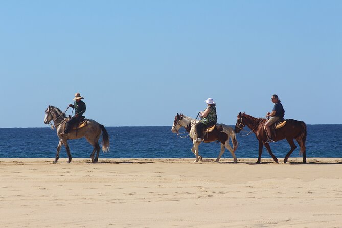 Los Cabos ATV and Pacific Horseback Riding Combo Tour - What to wear and what to bring