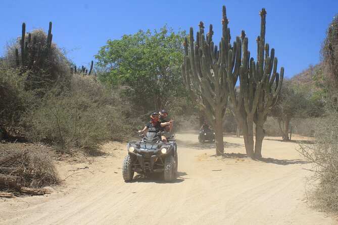 Los Cabos Beach & Desert Tour in Automatic ATV + Tequila Tasting - What the $75 price really buys