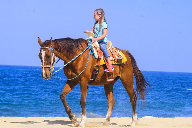 Los Cabos - COMBO Horseback Riding & ATV Tour - Two Baja rides in one short outing