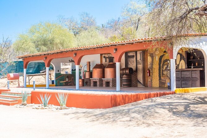 Los Cabos Costa Azul Zipline Eco-Adventure - What your $85 covers, and what it does not