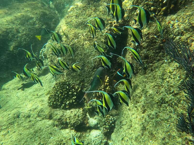 Los Cabos: Kayak to The Arch & Snorkel + Transport & Photos - What the $94 price includes