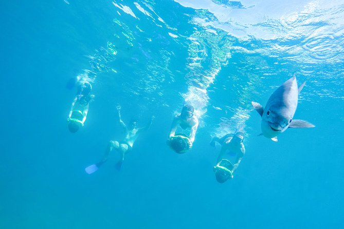 Los Cabos Power snorkel Adventure, Kayaking and Stand-Up Paddle - At a glance: what makes this trip worth considering