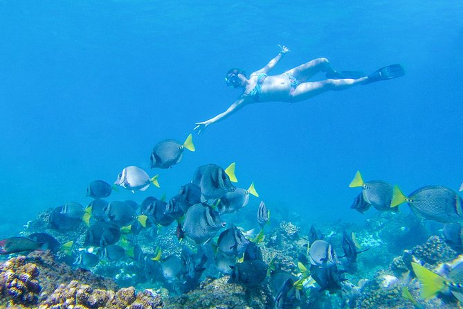 Los Cabos Power snorkel Adventure, Kayaking and Stand-Up Paddle - Wildlife, El Arco, and the luck factor