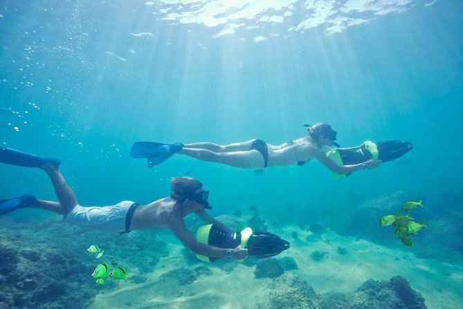 Los Cabos Power snorkel Adventure, Kayaking and Stand-Up Paddle - Price, group size, and the real value
