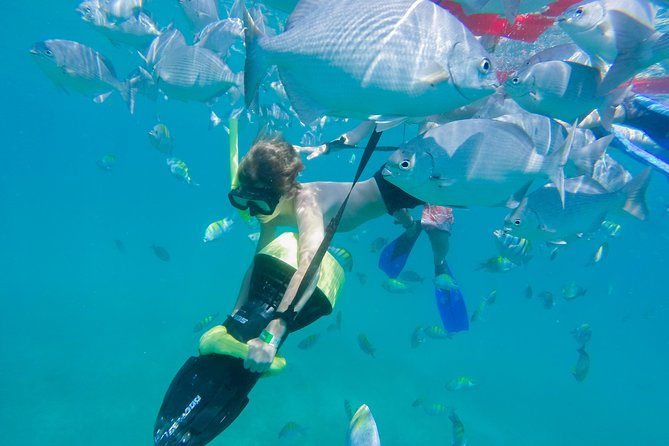Los Cabos Power snorkel Adventure, Kayaking and Stand-Up Paddle - Pickup, timing, and cancellation details